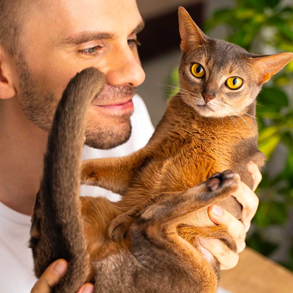 Luis Martínez